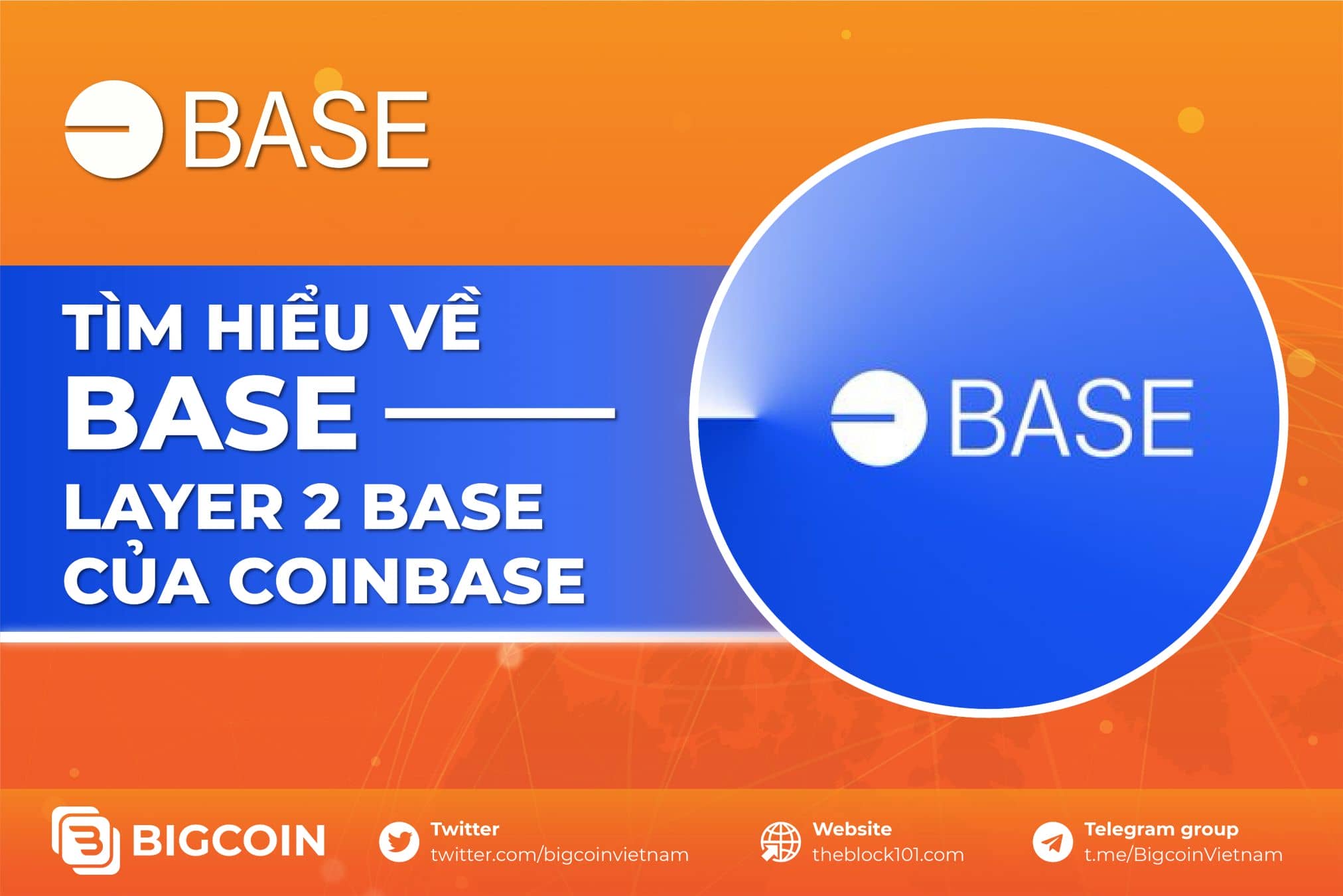 Base là gì?