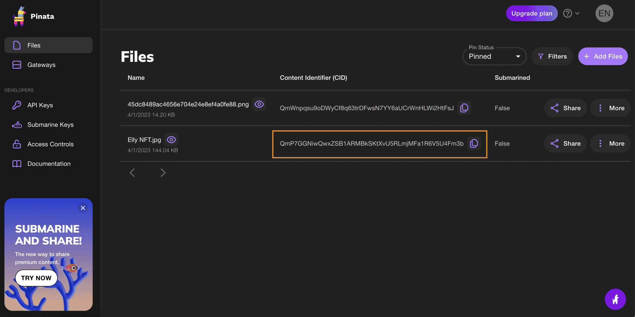 Copy “CID” của file ảnh vừa tạo