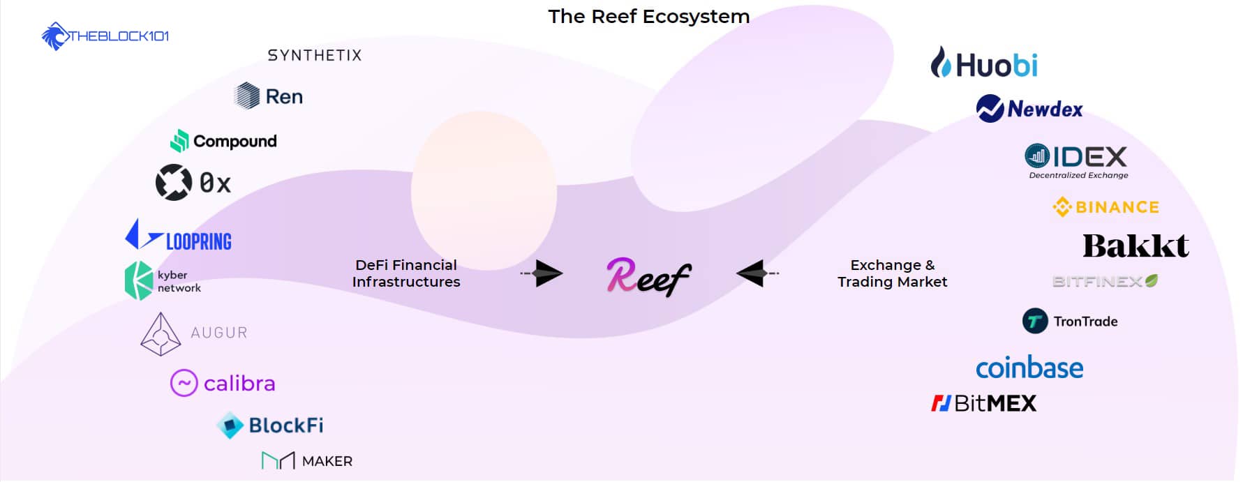 null Hệ sinh thái của Reef