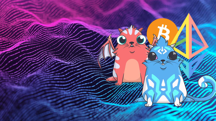 Thị trường NFT đang tái cấu trúc từ đầu cơ sang ứng dụng thật (2026)