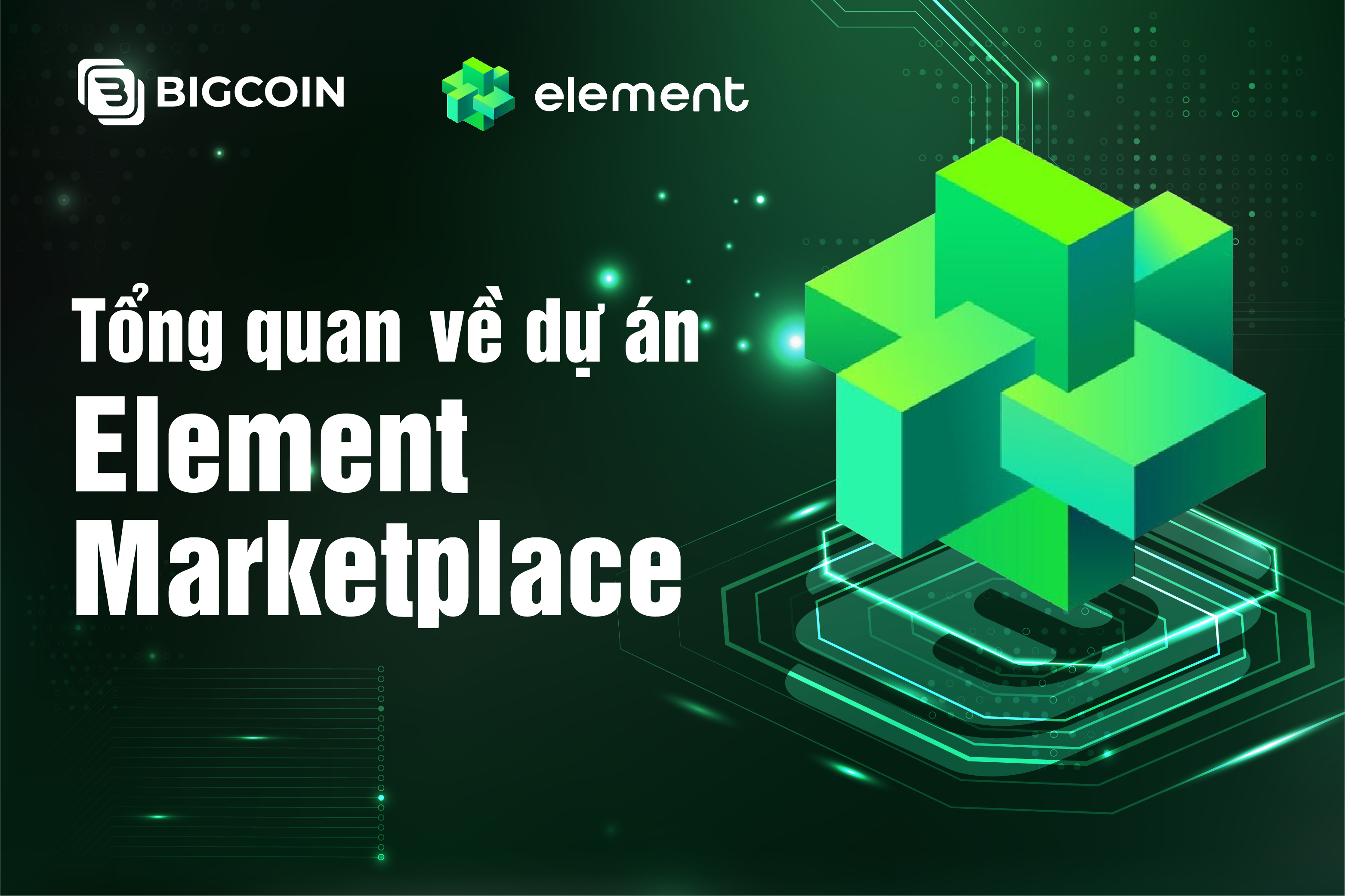 Element Market là gì? Tổng quan về NFT Marketplace xuyên chuỗi