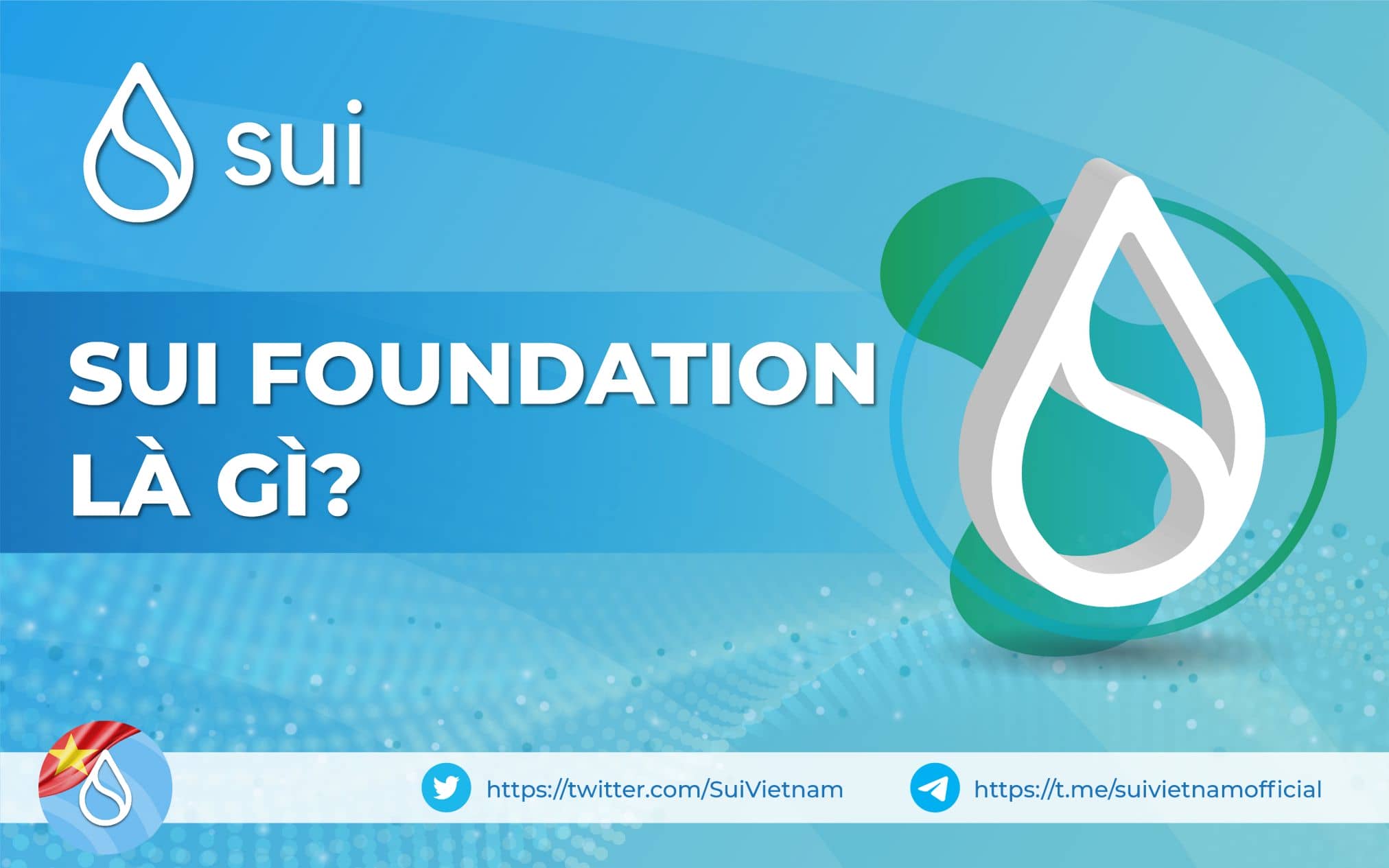 Sui Foundation là gì? Khám phá chương trình Developer Grant Program