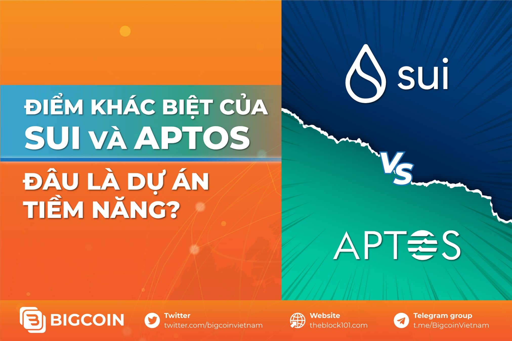 So sánh Sui và Aptos. Đâu là điểm khác biệt của Sui và Aptos?