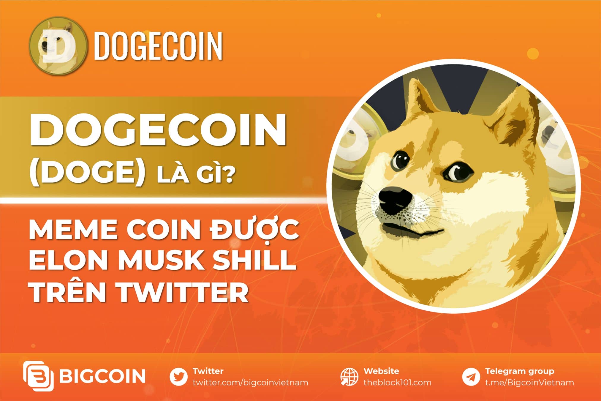 Dogecoin (DOGE) Là Gì? Meme Coin được Elon Musk Shill Trên Twitter