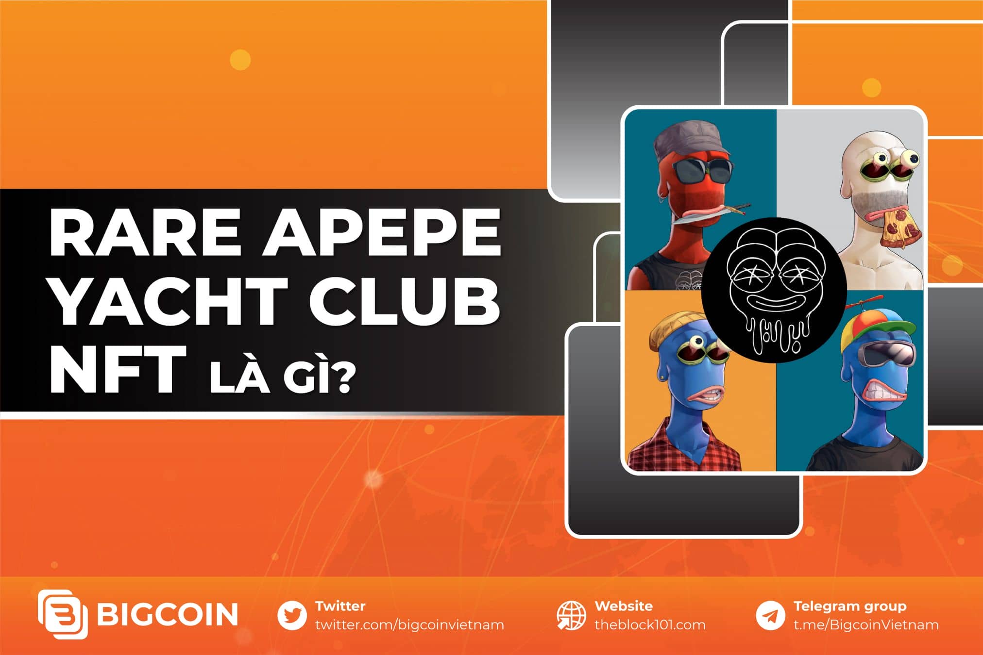 Rare Apepe Yacht Club NFT là gì?