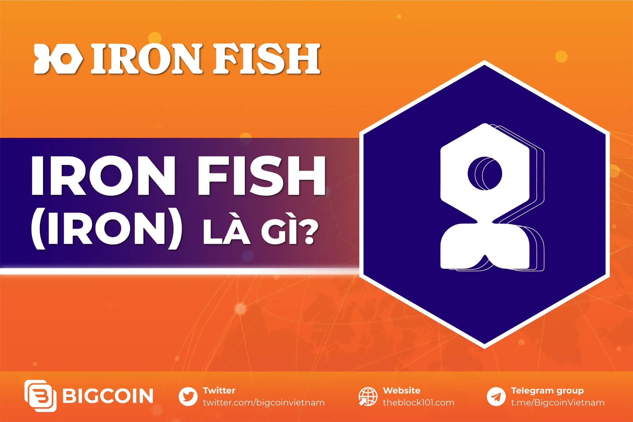 Iron Fish l g Blockchain gi i quy t v n b o m t quy n ri ng t