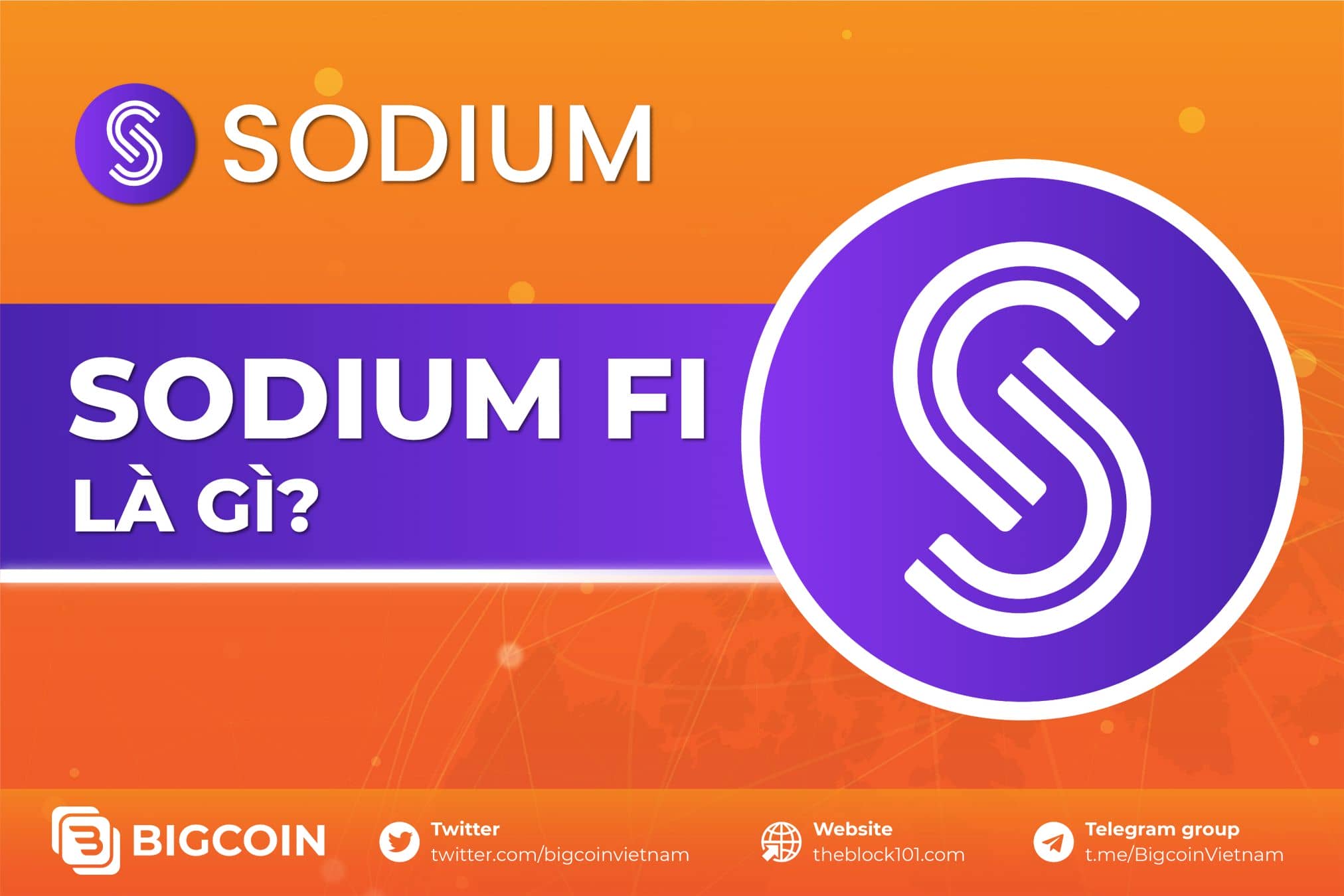 Sodium Fi là gì? Nền tảng lending và borrowing NFT