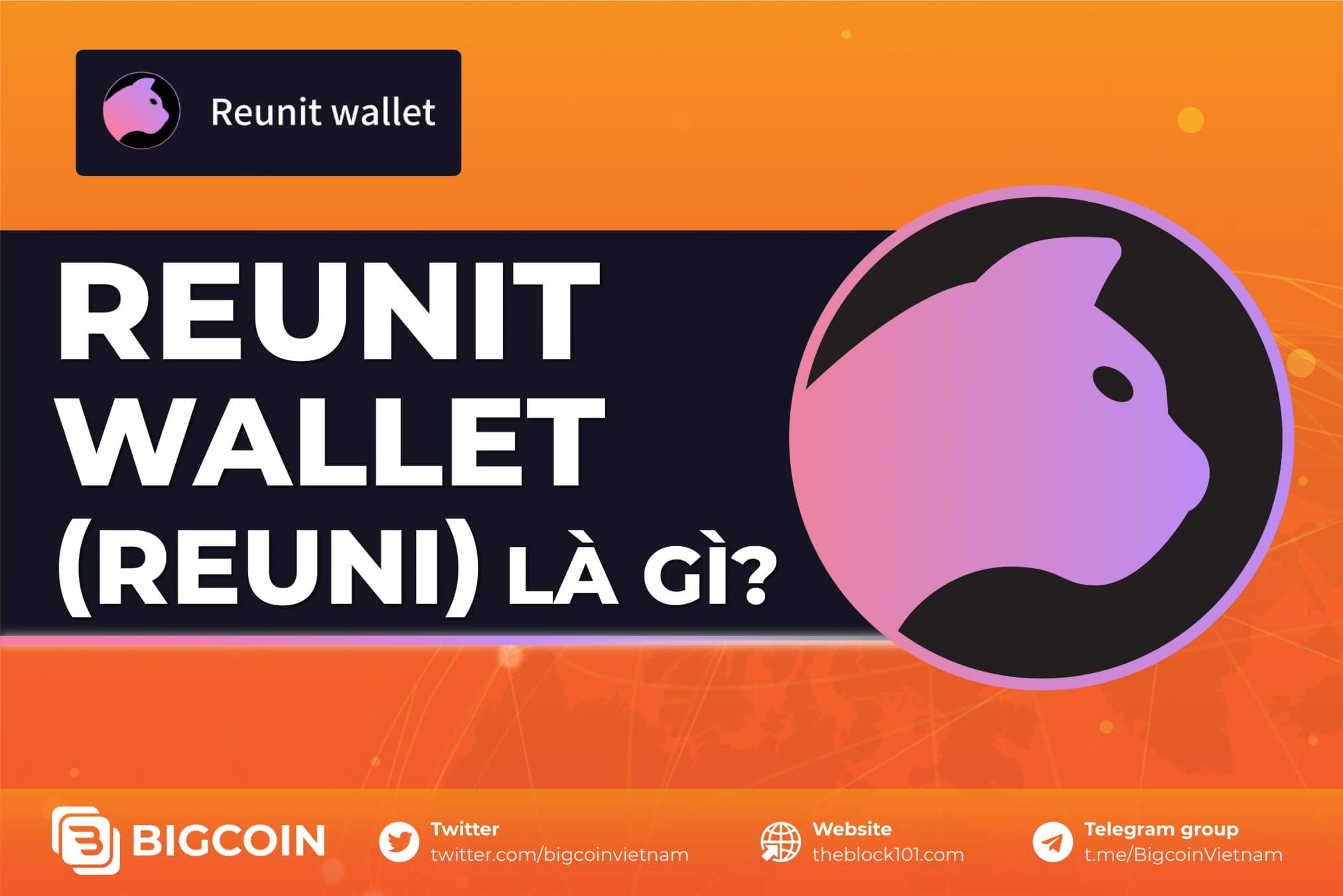 Reunit Wallet (REUNI) là gì? Ví omnichain đầu tiên trên LayerZero