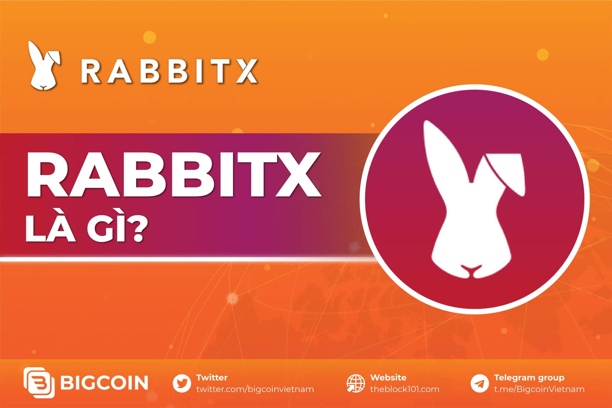 RabbitX là gì?