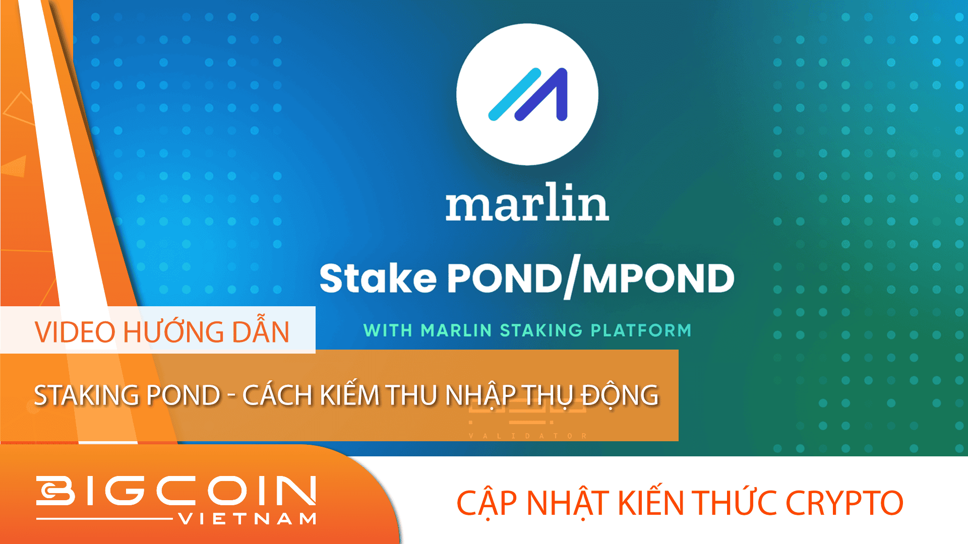 Hướng dẫn staking token Marlin (POND) trên nền tảng Marlin.pro