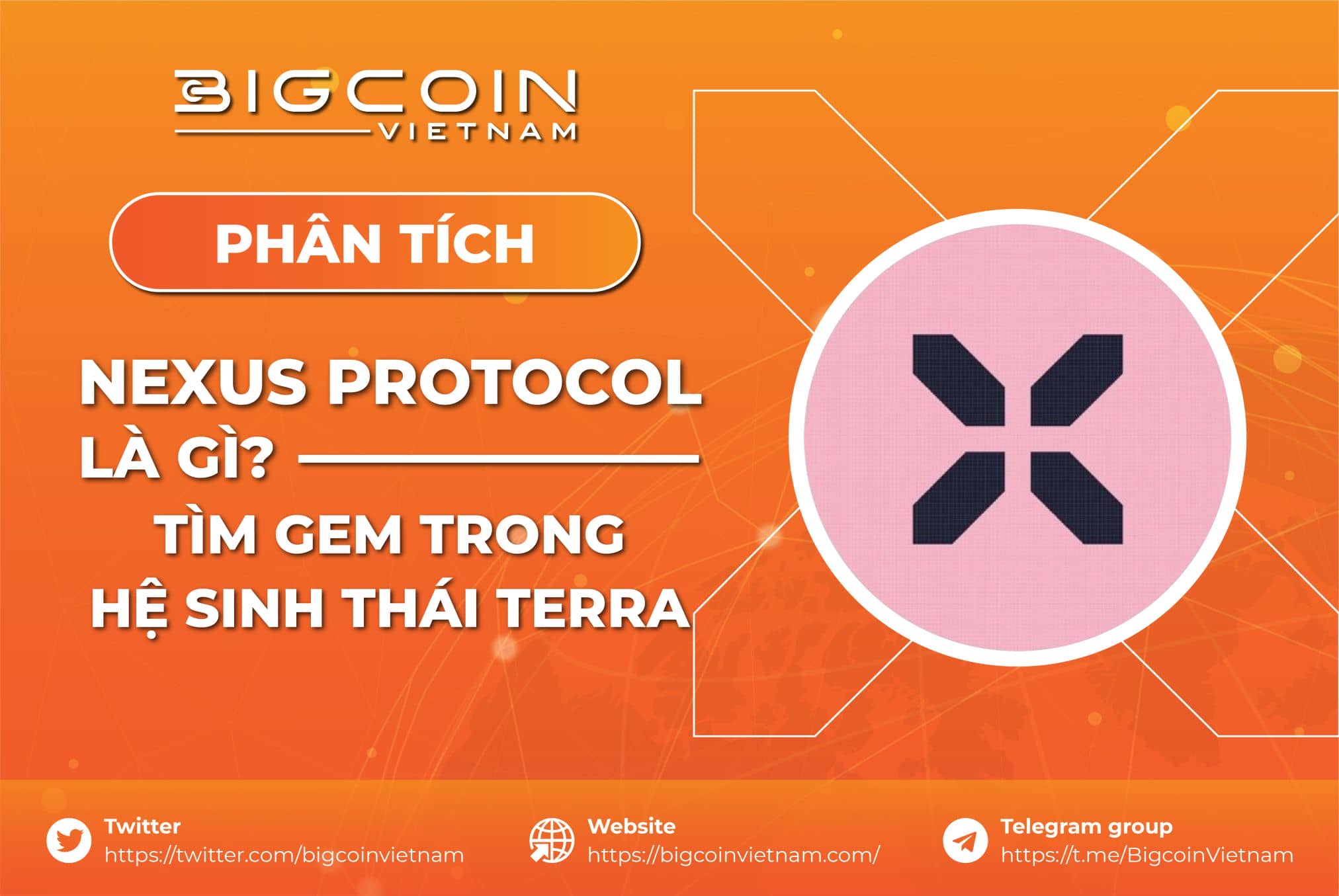 Nexus Protocol Là Gì? Tìm Gem Trong Hệ Sinh Thái Terra