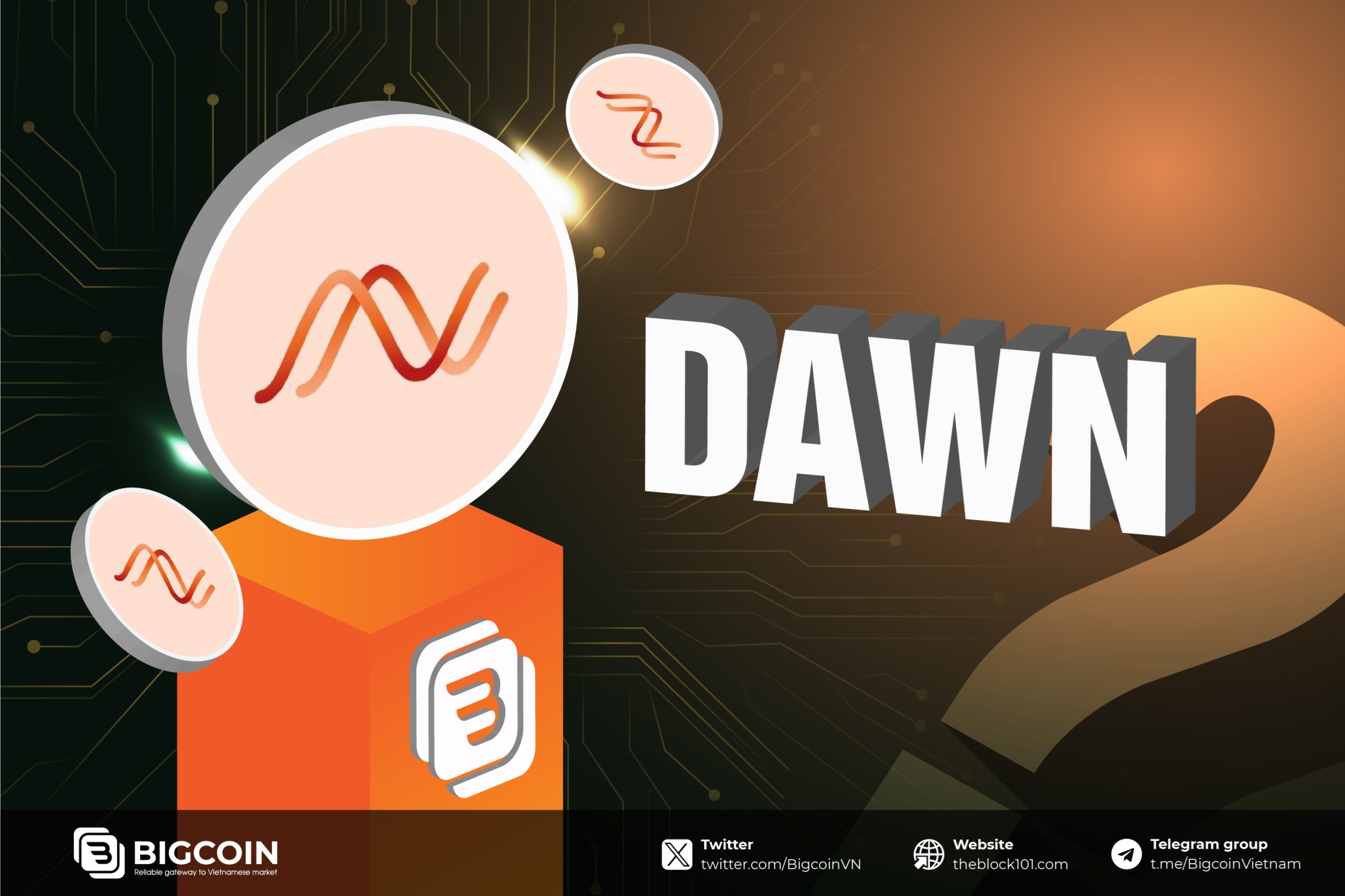 Đánh giá tiềm năng dự án DAWN