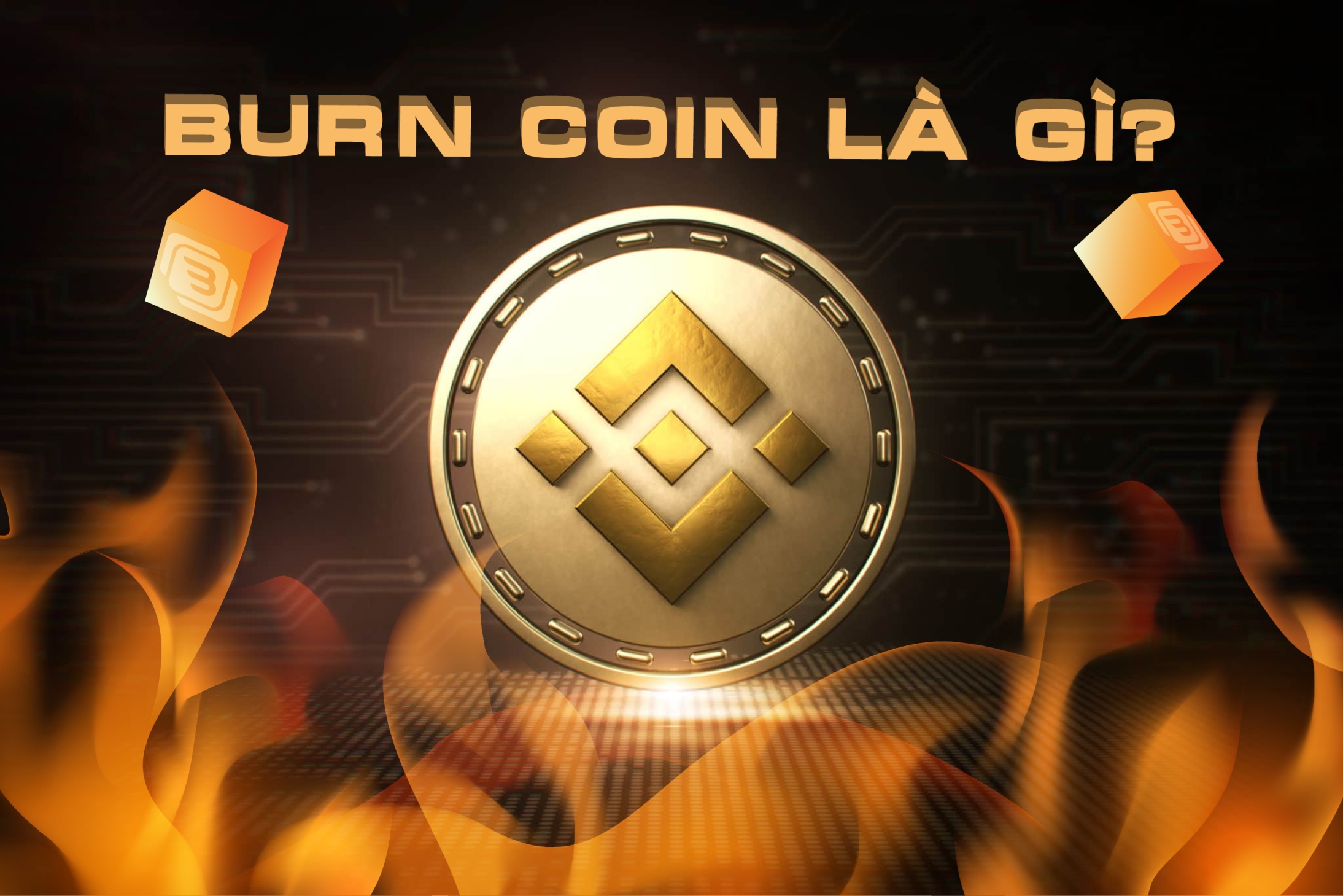 Đốt coin (Burn coin) là gì? Cơ chế BNB auto burn có tác dụng gì?