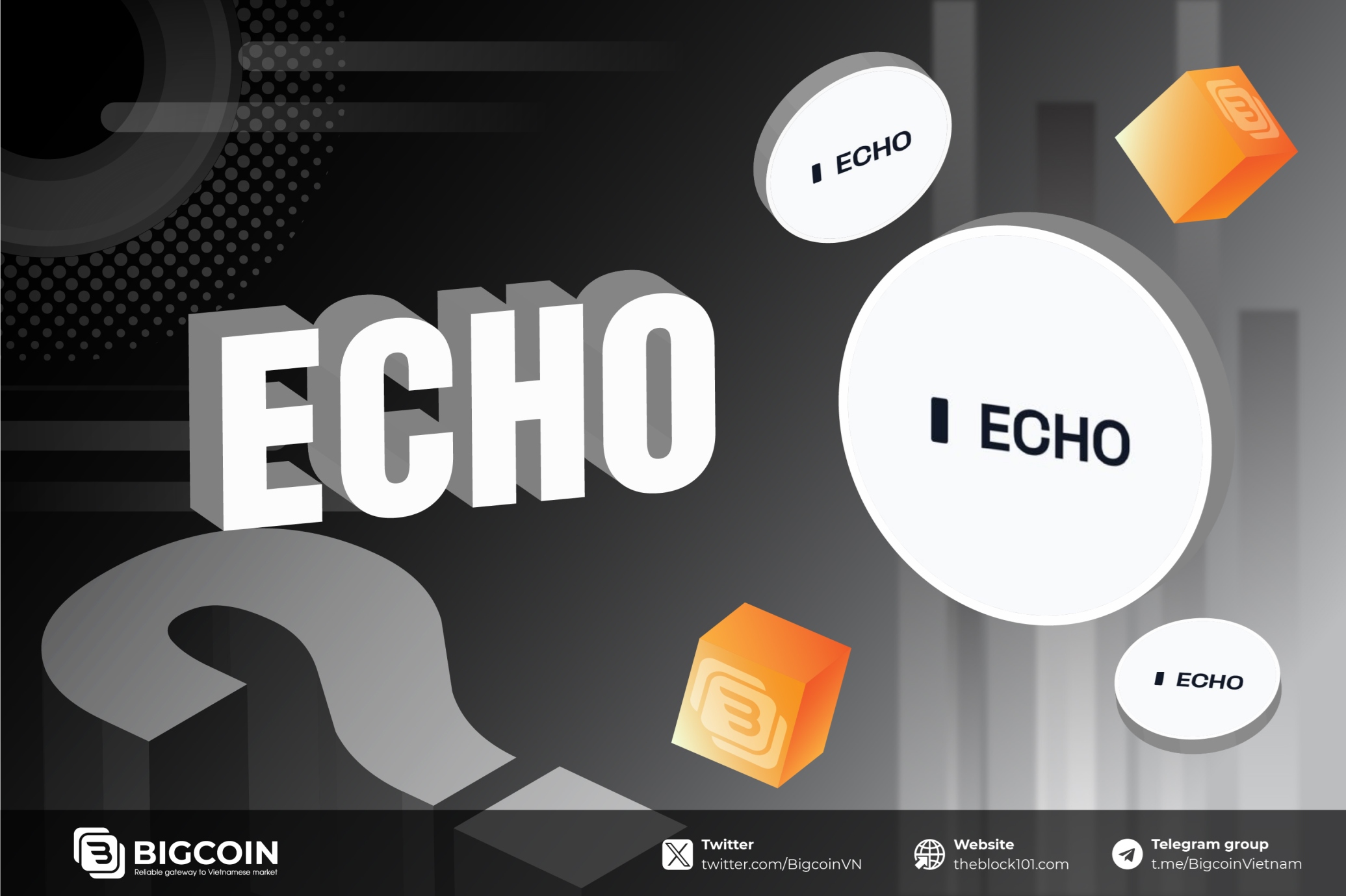 Echo là gì? Nền tảng Fundraising mới dành cho cộng đồng