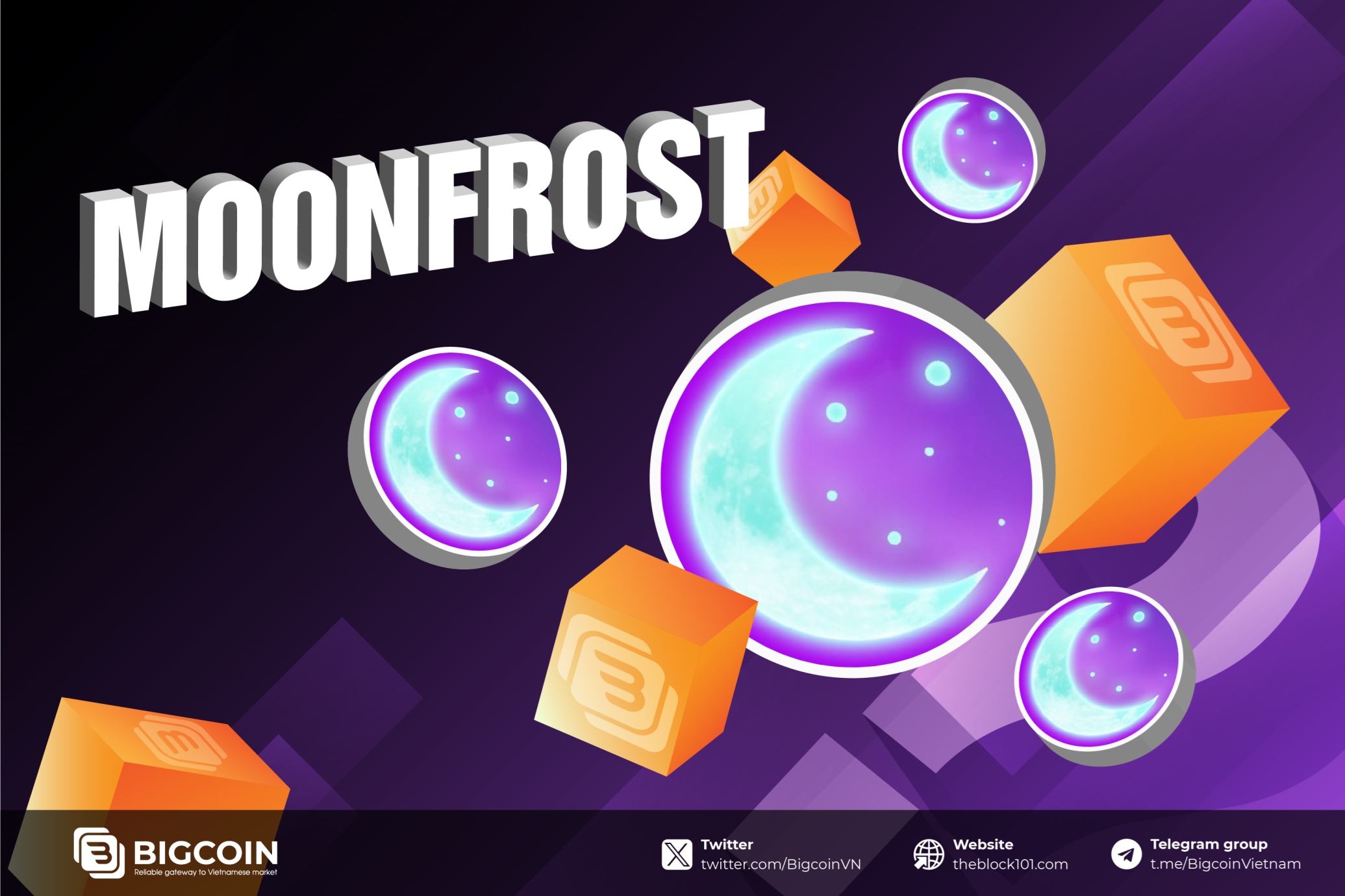 Moonfrost là gì? Toàn cảnh về dự án game nông trại hot nhất không thể bỏ qua