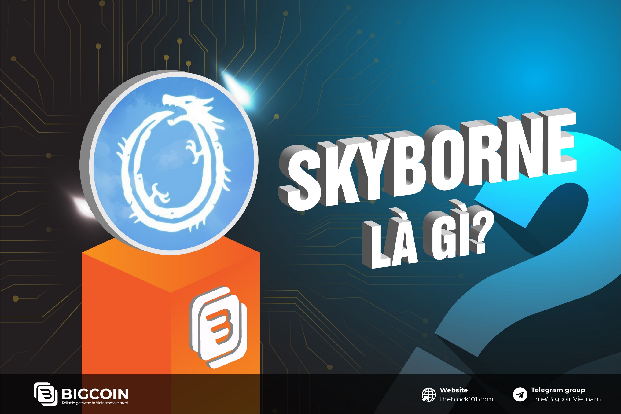 Skyborne Legacy là gì? Giải mã cơ chế earn của Skyborne Legacy