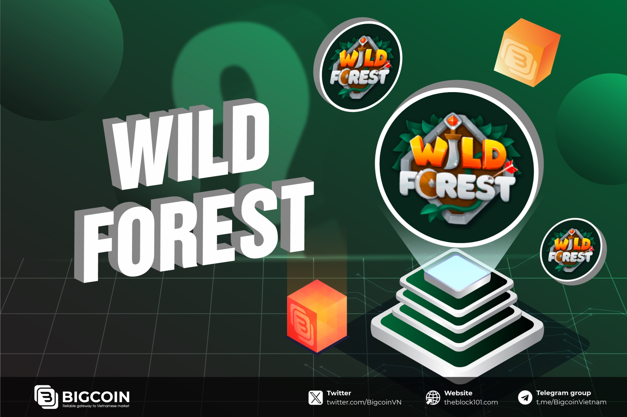 Wild Forest là gì? Dự án Play-to-airdrop tiềm năng trên hệ Ronin