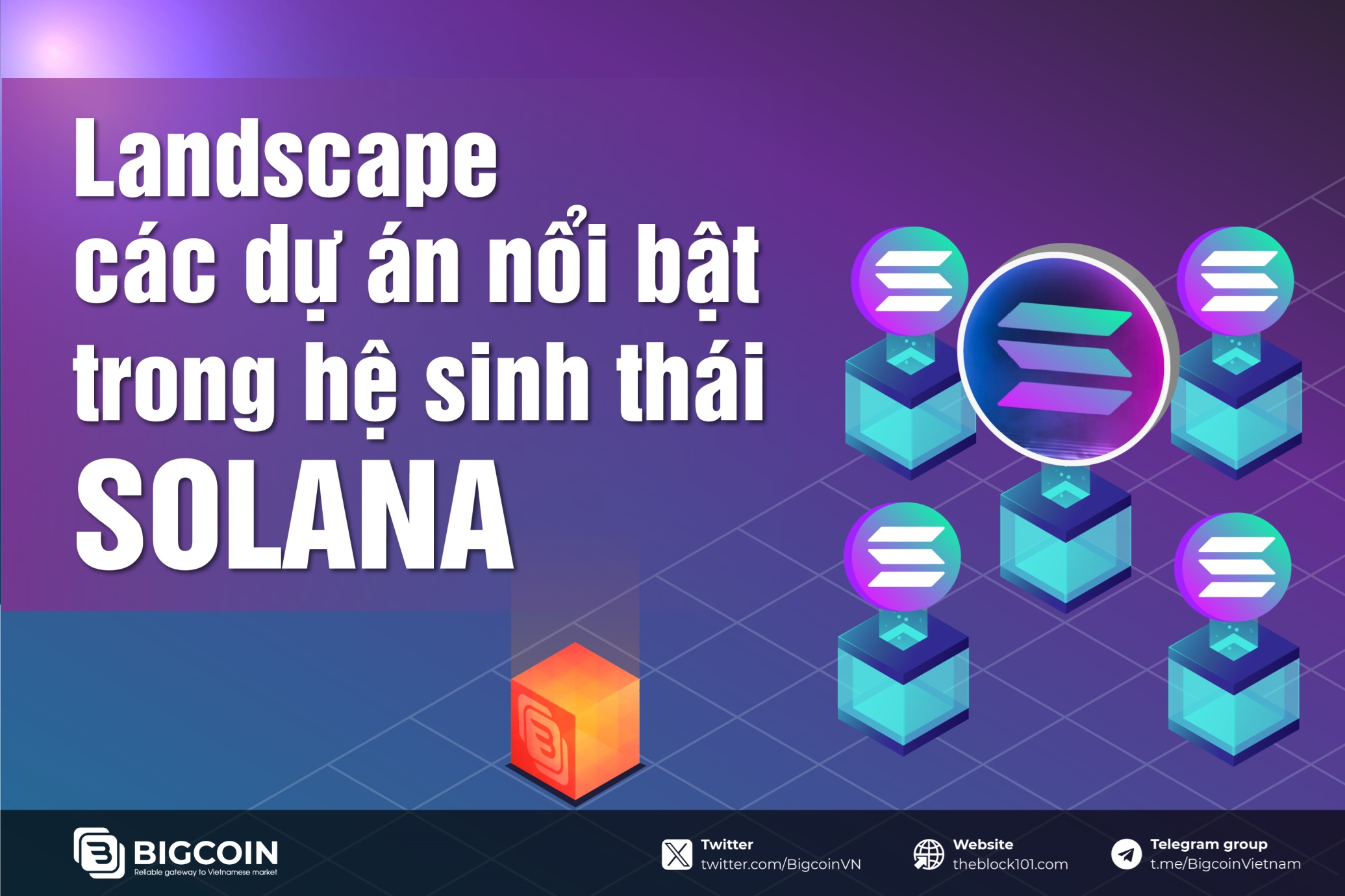 Landscape tổng hợp các dự án nổi bật trong hệ sinh thái Solana (Mới nhất 2024)