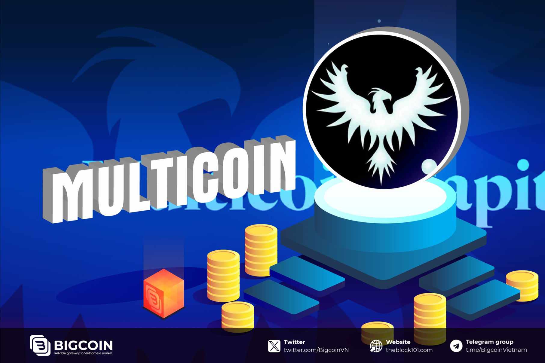Multicoin Capital l&agrave; g&igrave;?