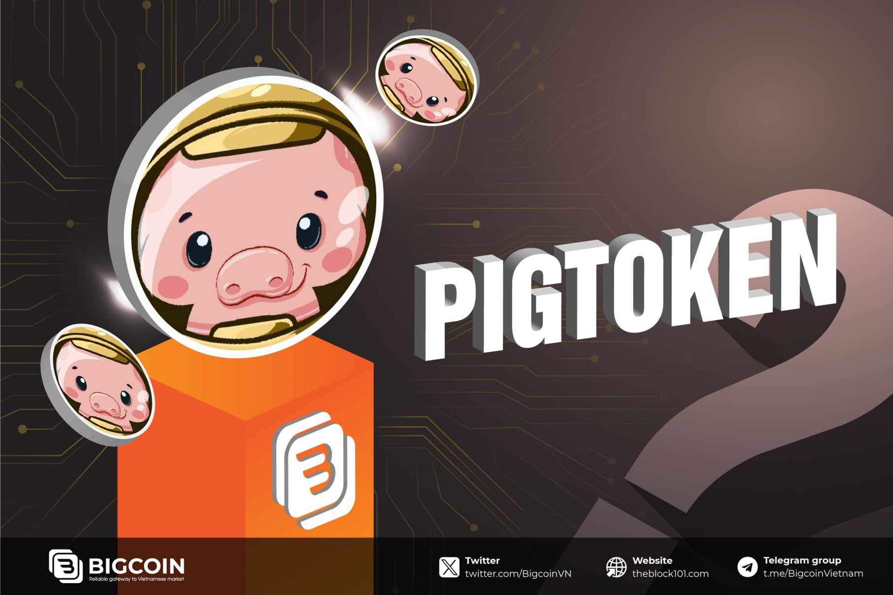 Pig Finance là gì?