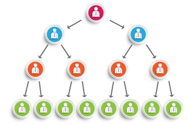 Introduction to the Ponzi Model