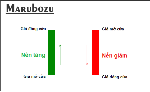 Ý nghĩa của nến Marubozu