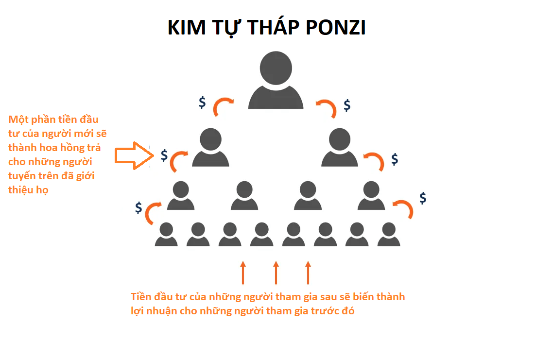 Signs of Ponzi Schemes in Crypto