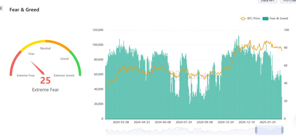 Fear and Greed Index ngày 25/2