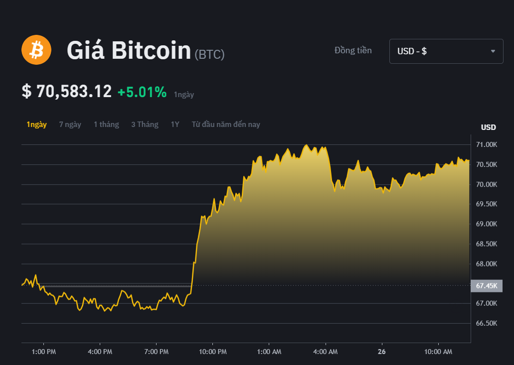 Bitcoin Price Chart