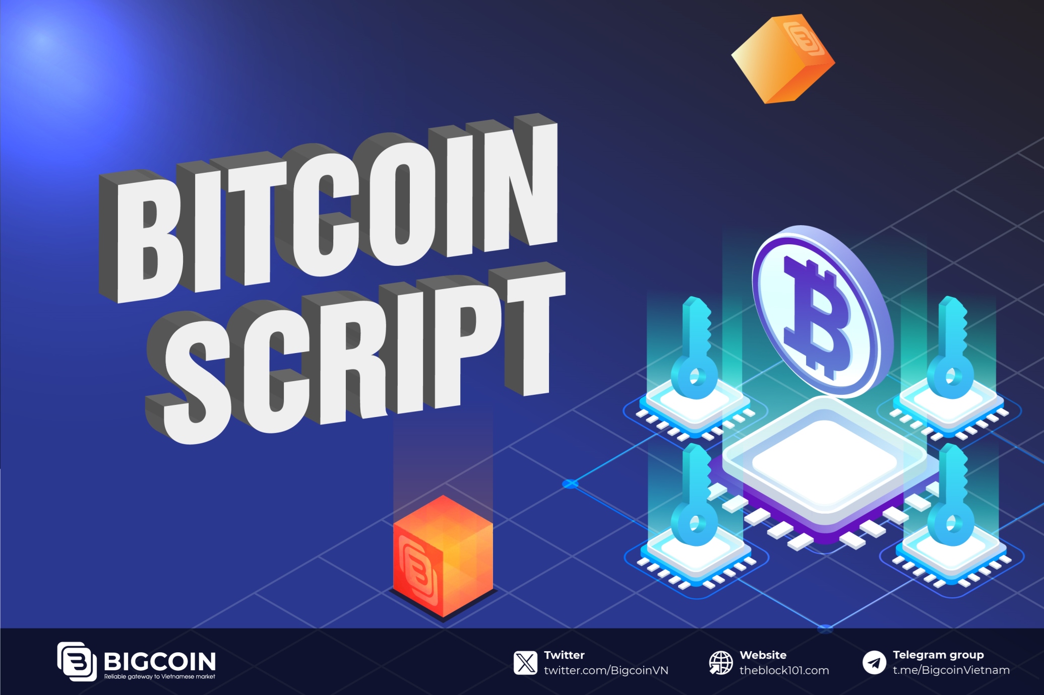 Bitcoin Script là gì? Những điều cần biết về Bitcoin Script trong mạng lưới Bitcoin
