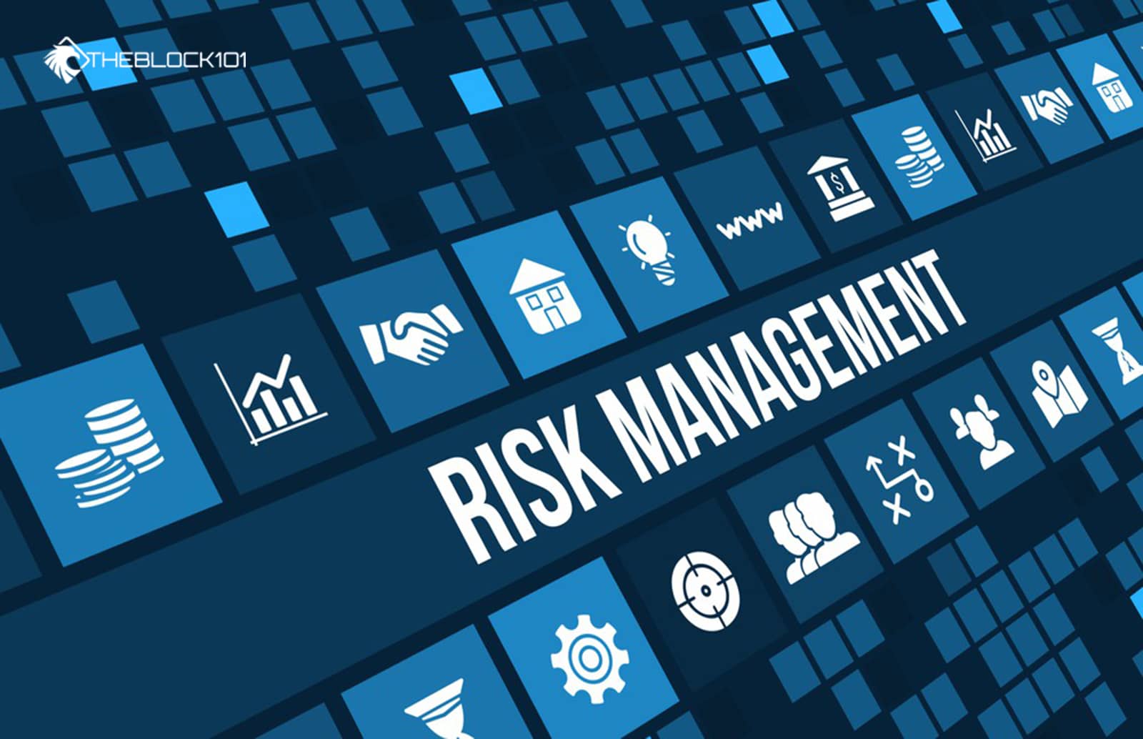 What is Risk Management?