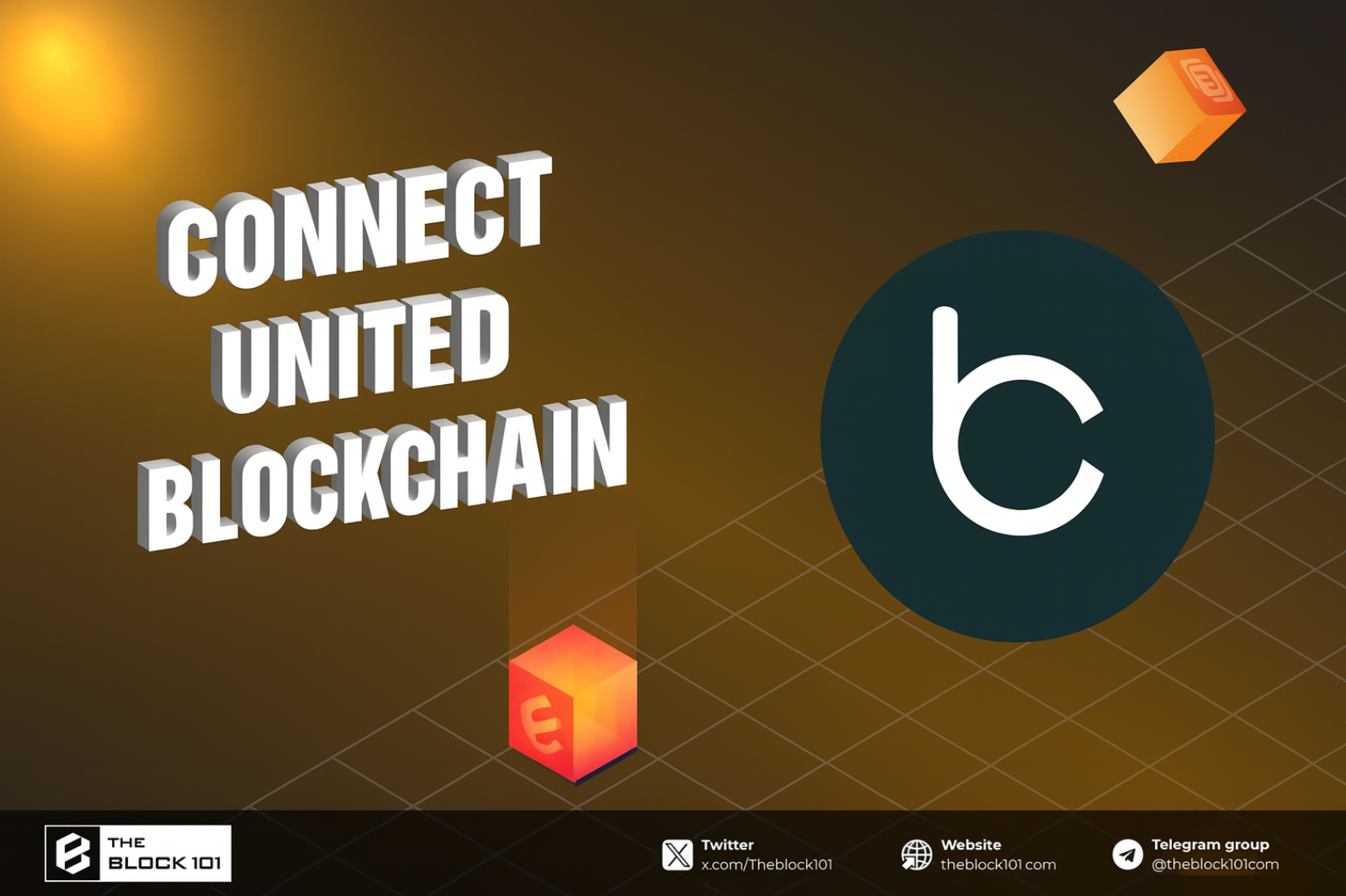 Connect United Blockchain: An Overview and Critical Analysis