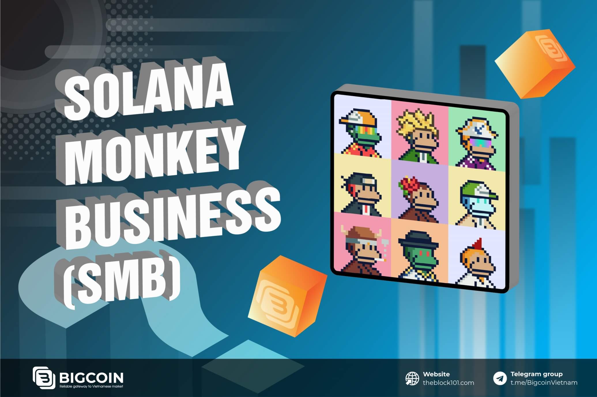 Solana Monkey Business (SMB) là gì? Bộ sưu tập NFT chú khỉ trên Solana