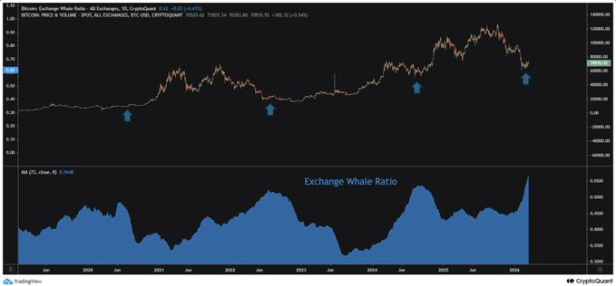 Bitcoin Exchange Whale Ratio