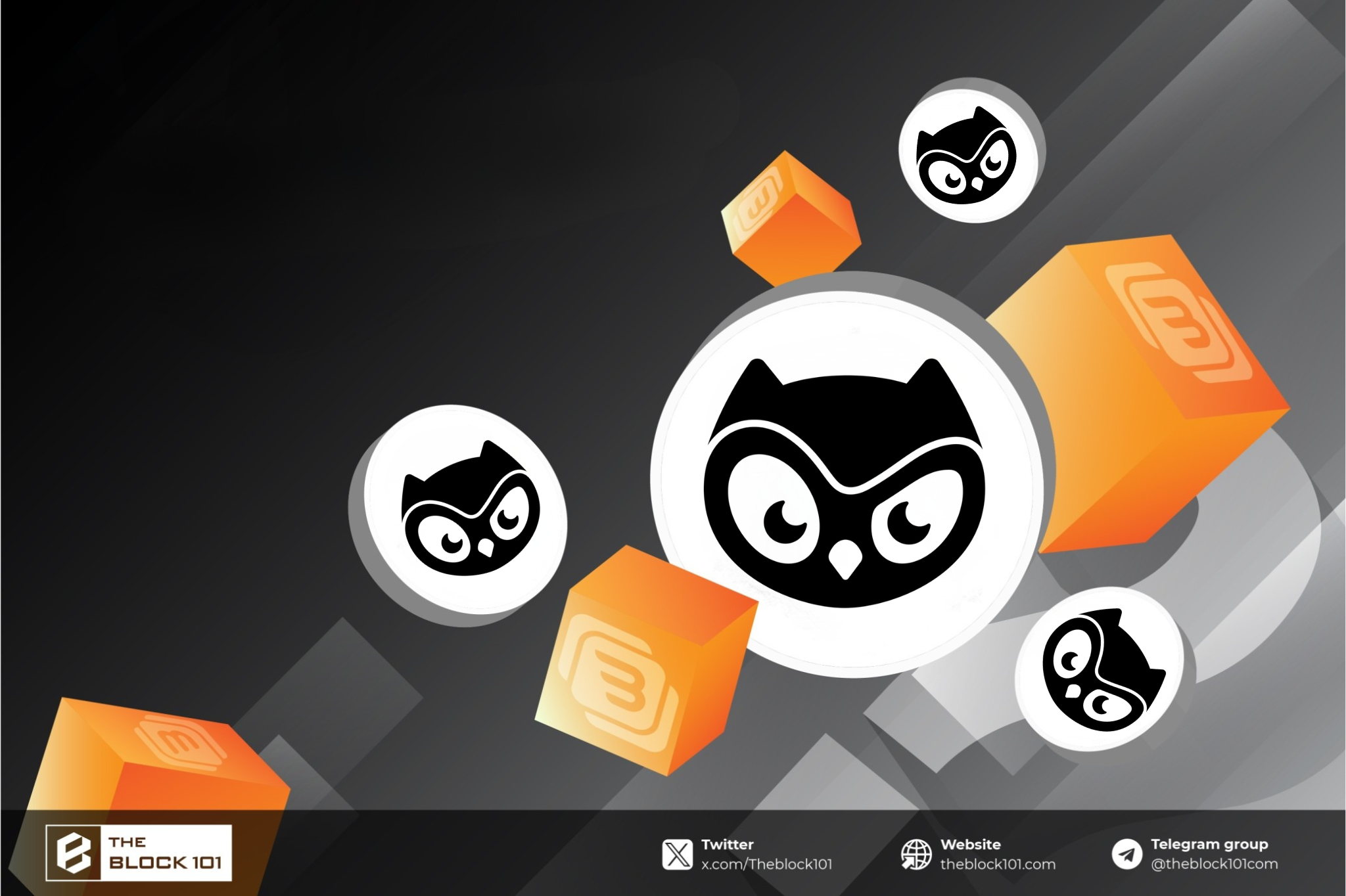 Moonbirds ($BIRB) Là Gì? Phân Tích Chi Tiết Về Dự Án NFT Trên Solana