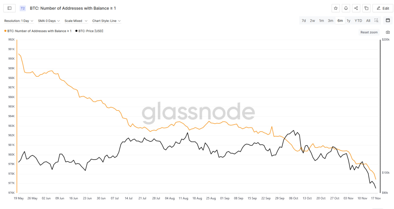 Ví có 1 BTC trở lên đã giảm mạnh vào năm 2025.