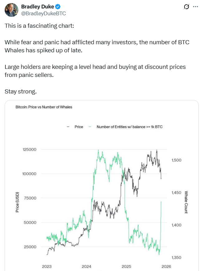Nguồn: Bradley Duke