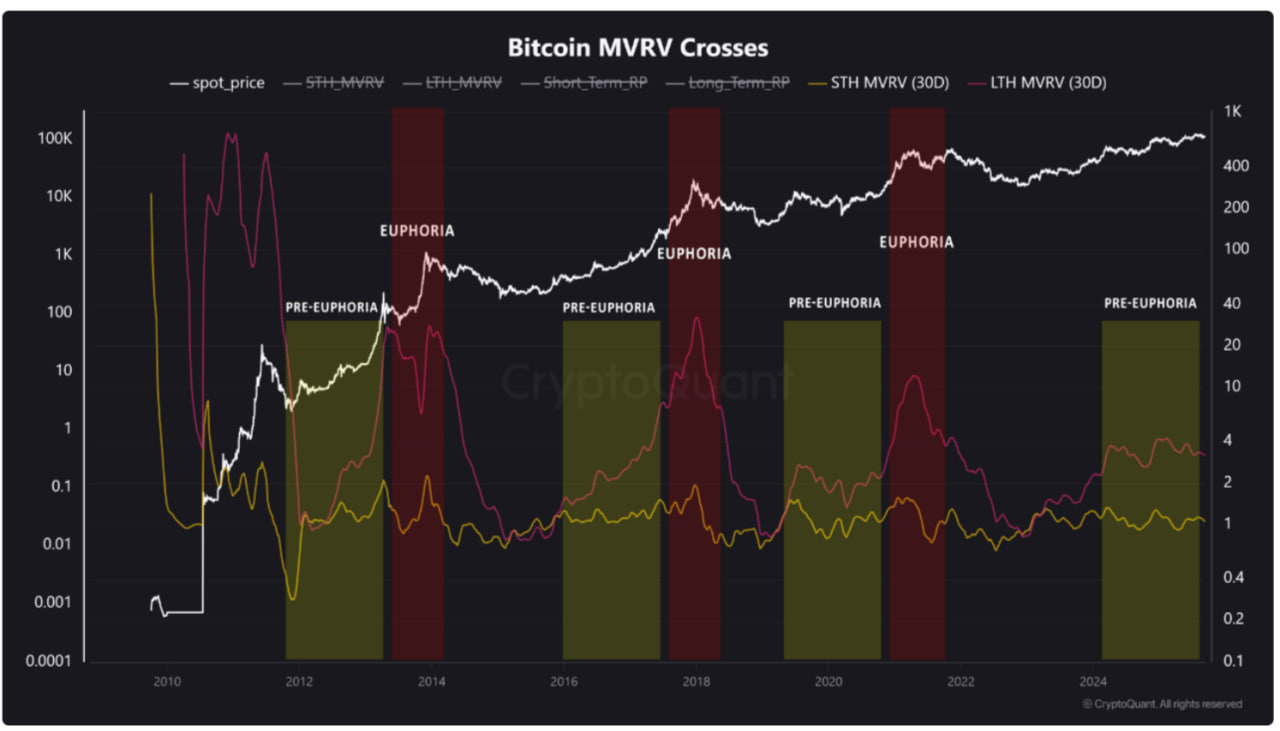 Dữ liệu LTH, STH MVRV của Bitcoin