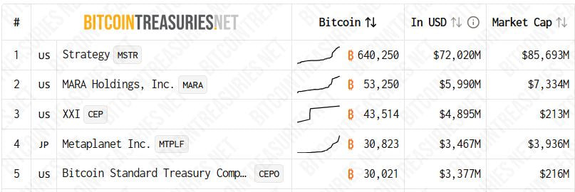 Strategy có vị thế dẫn đầu đáng kể trong số các công ty nắm giữ Bitcoin.