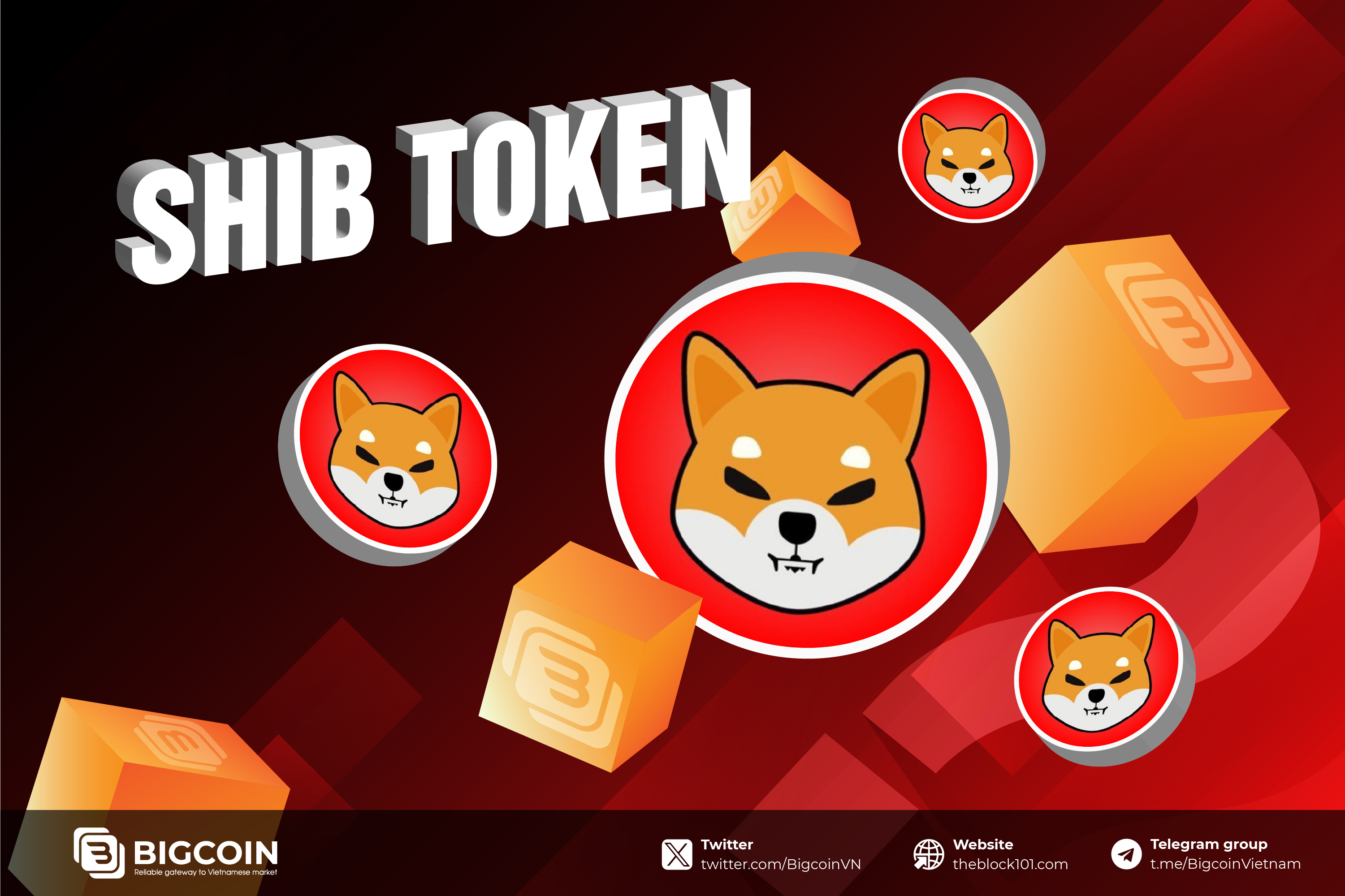 Shiba Inu là gì? Tổng quan về dự án meme coin SHIB