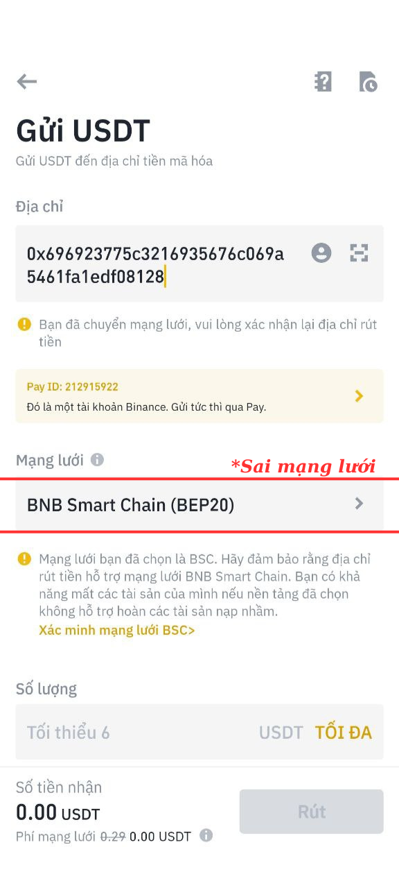 Kiểm tra địa chỉ ví và mạng lưới khi giao dịch