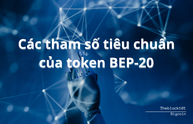 Các tham số tiêu chuẩn của token BEP-20