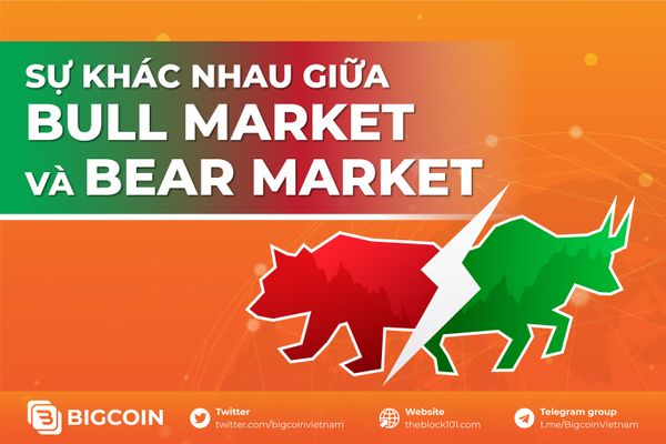 Sự khác biệt giữa Bull Market và Bear Market