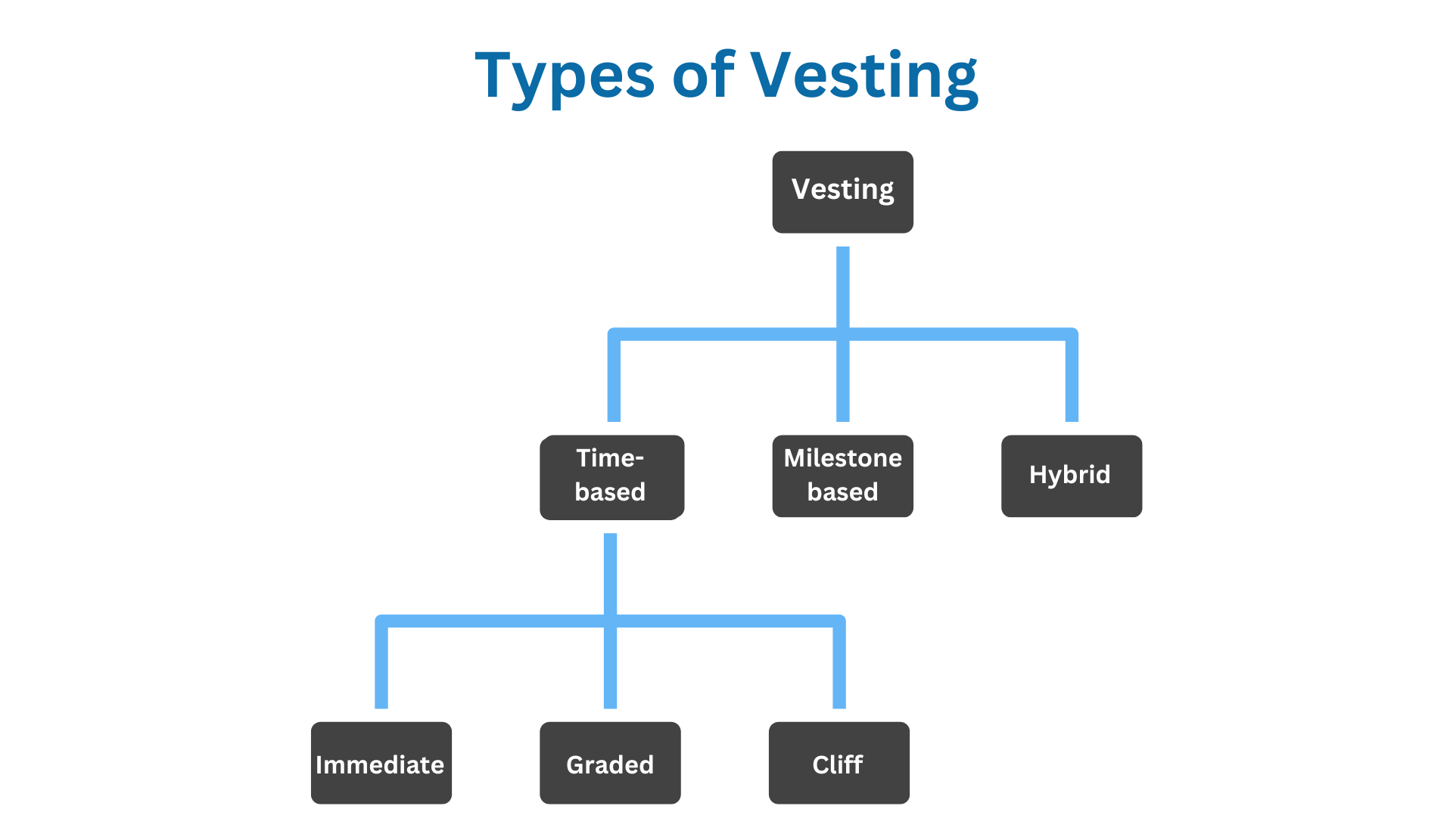 Types of Vesting in Crypto