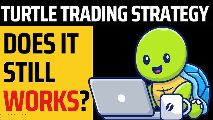 Các Nguyên Tắc Chính