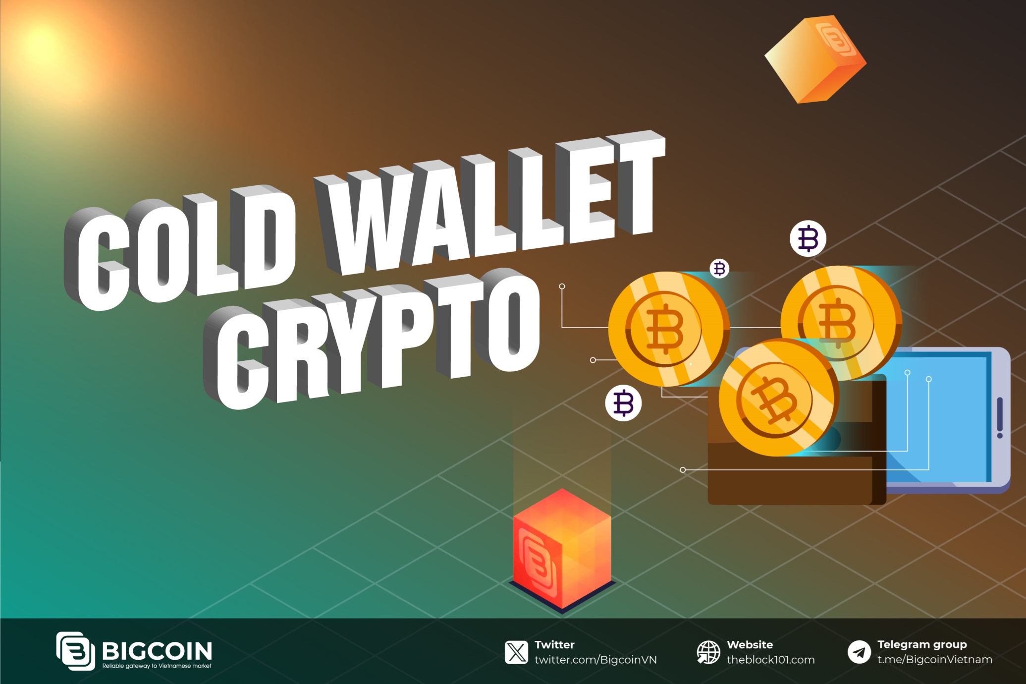 What is a Cold Wallet? The best way to secure your Digital Assets