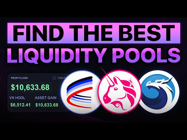 Which should you choose?