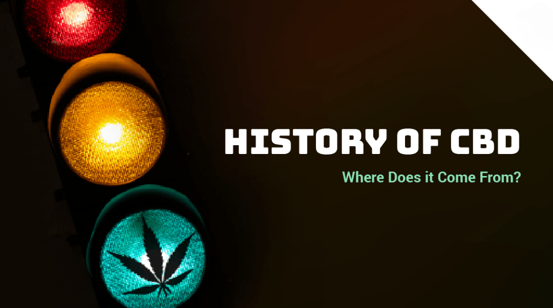 Xuất hiện từ cuối thế kỷ 20 nhưng phải sau 2 thập kỷ CBDC mới thu hút sự chú ý từ các quốc gia