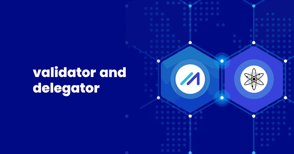 Validators and Delegators