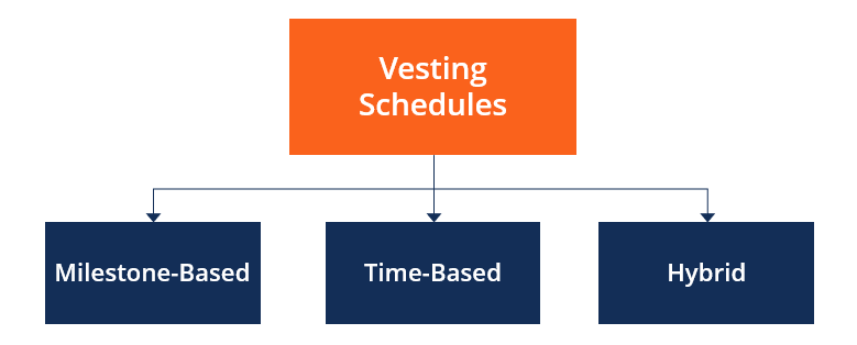 Vesting Schedule Types